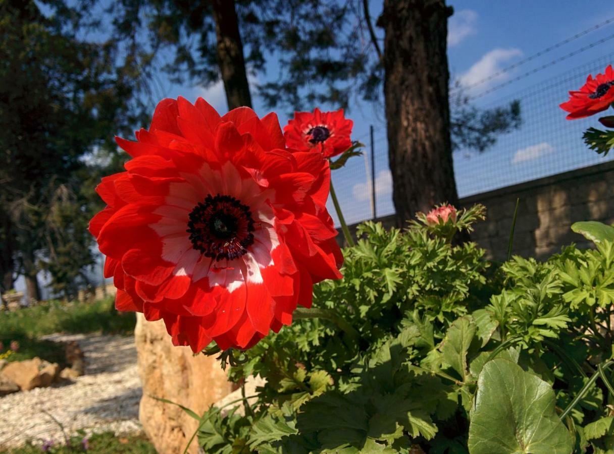 Villa 2 Fields Кастелланета Экстерьер фото